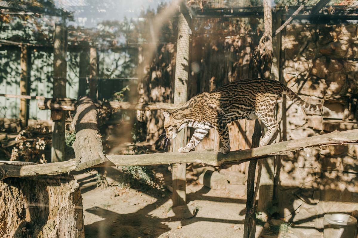 The Ultimate Greenbelt Guide Southwest Idaho Travel Association