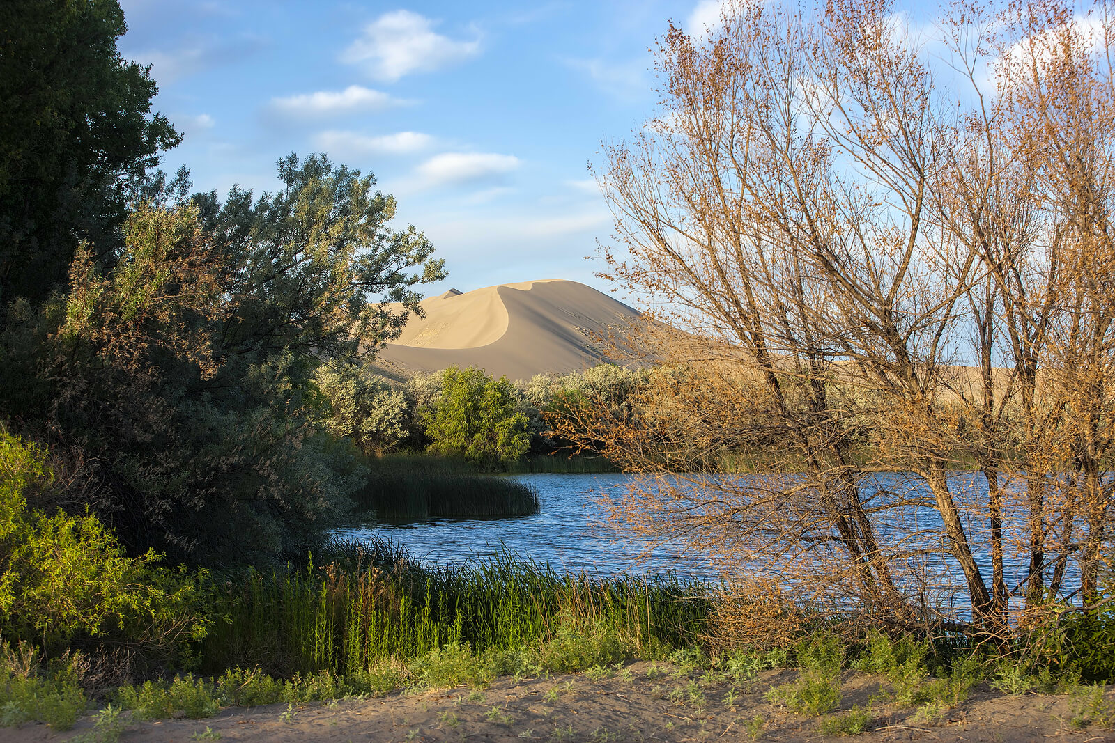 Bruneau, Idaho