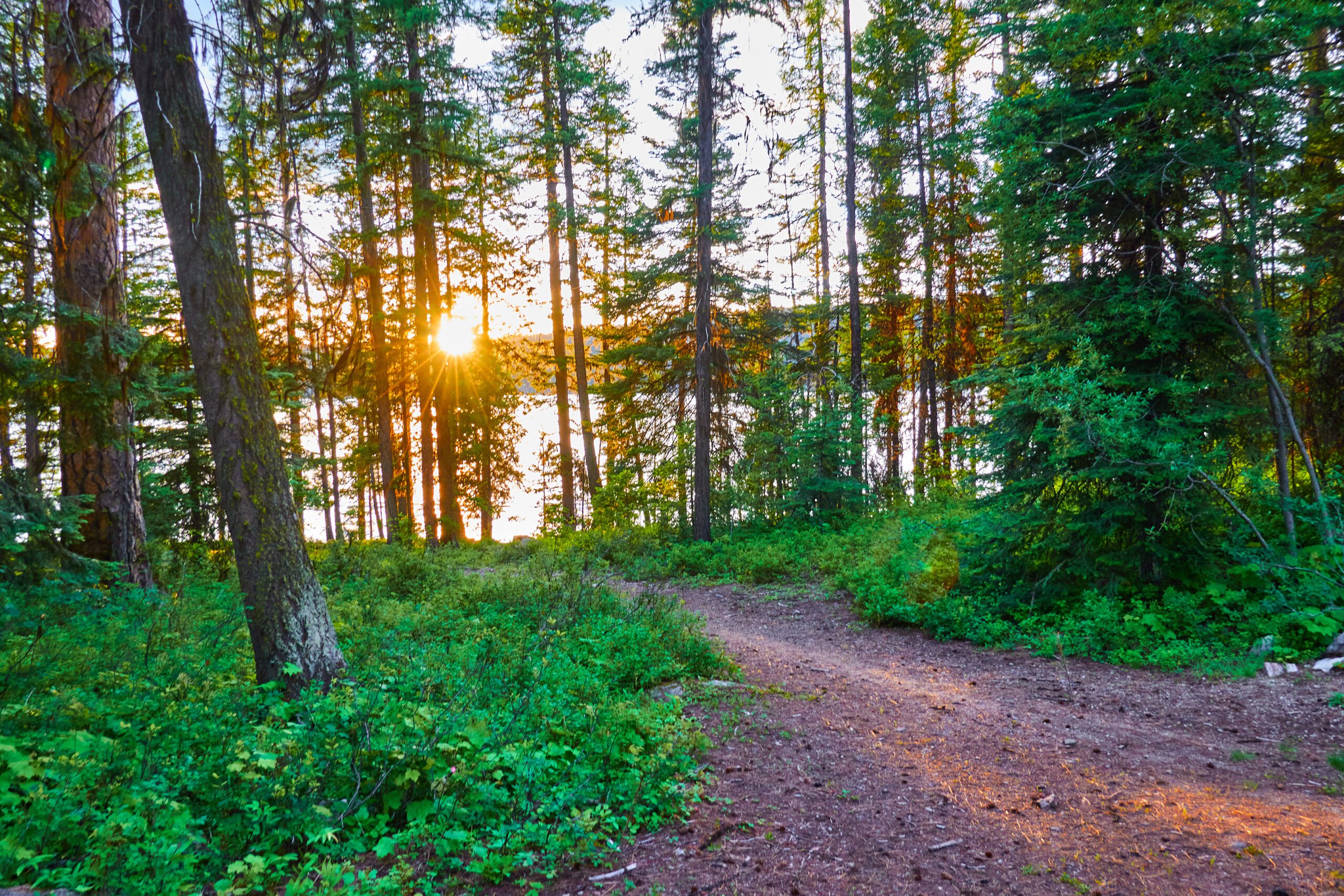 Spring Events in Southwest Idaho