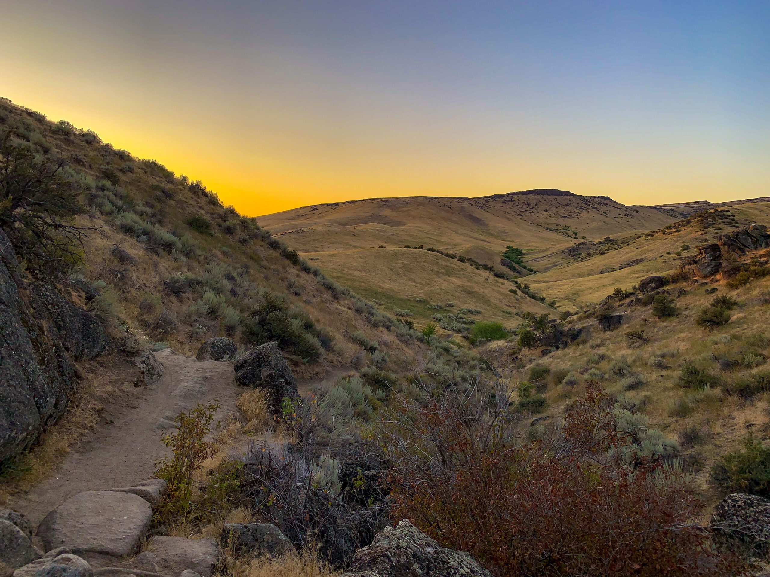 Boise is Where You Land