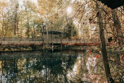 MK Nature Center