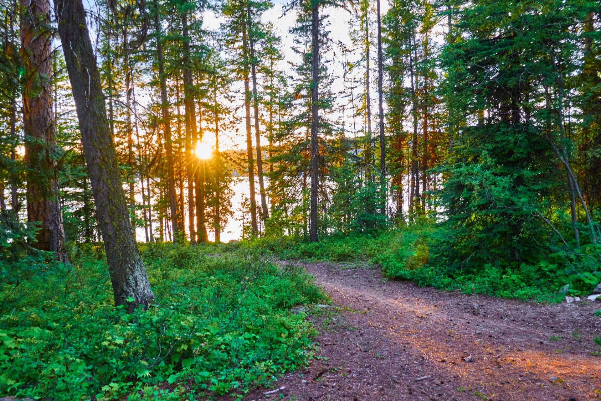 Spring Events in Southwest Idaho