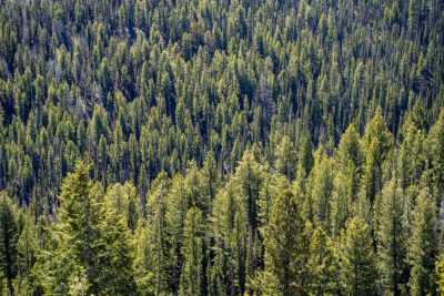 Pine, Idaho