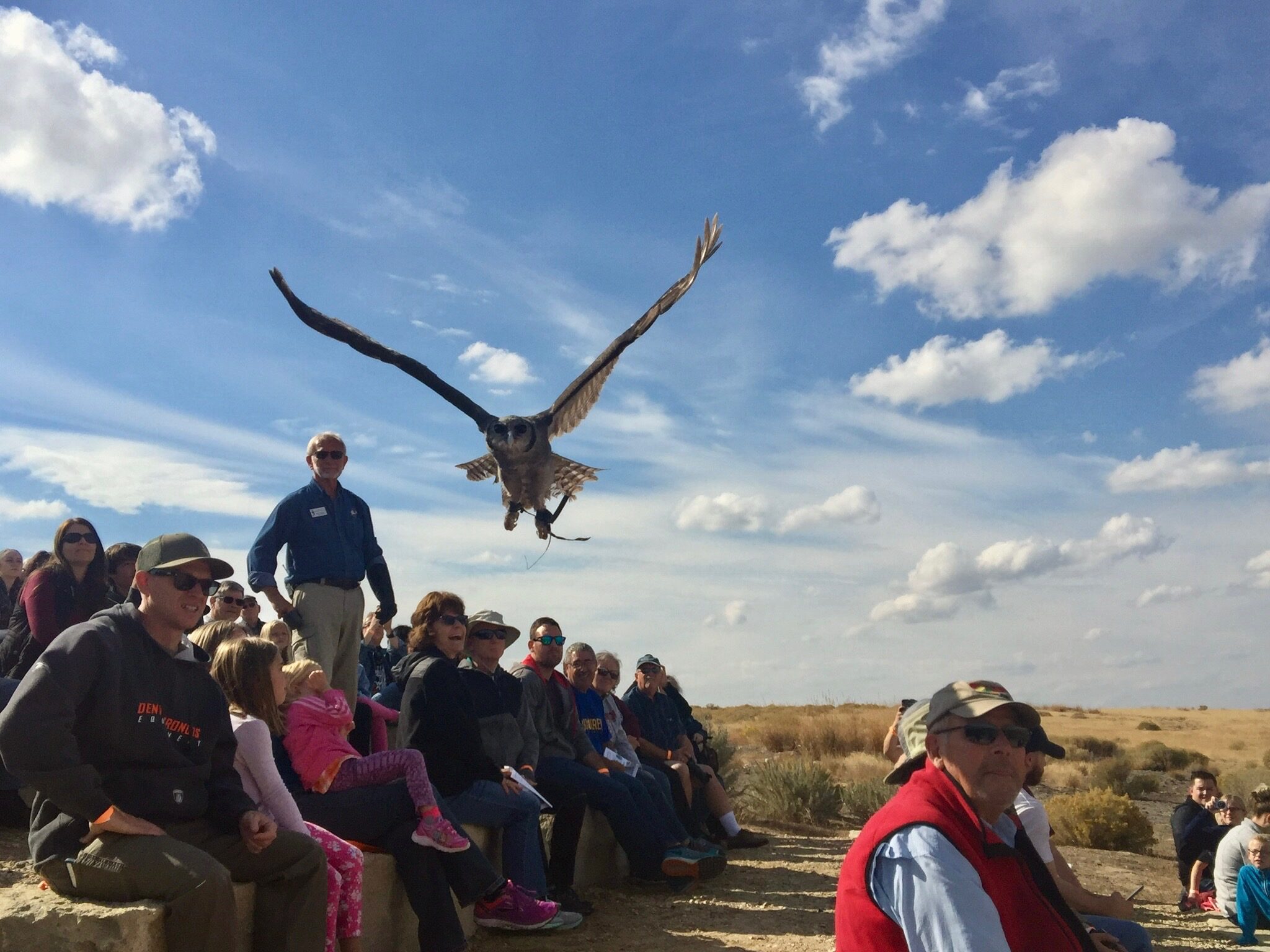 World Center for Birds of Prey