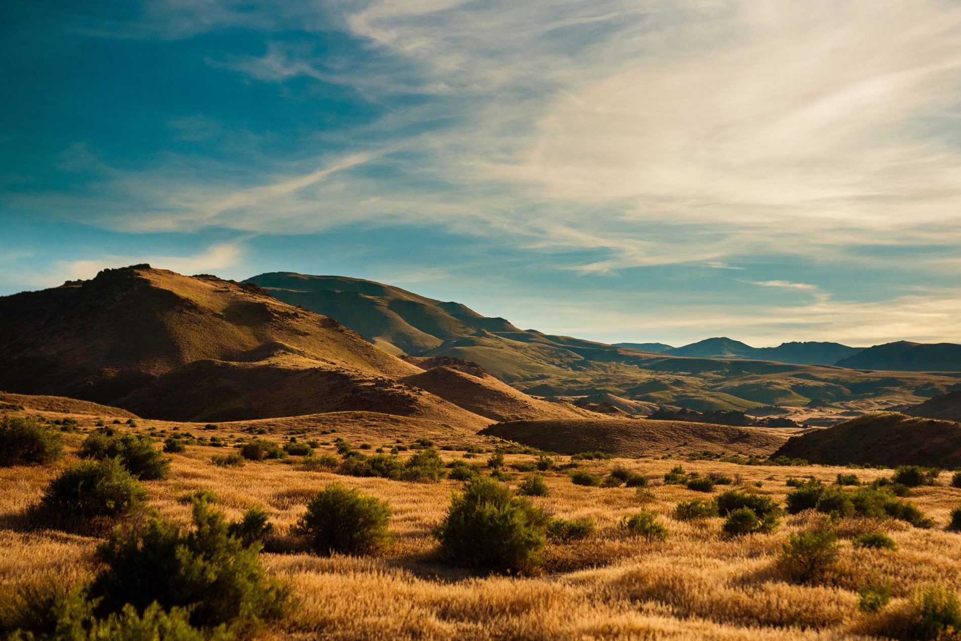 Social Distancing in Southwest Idaho