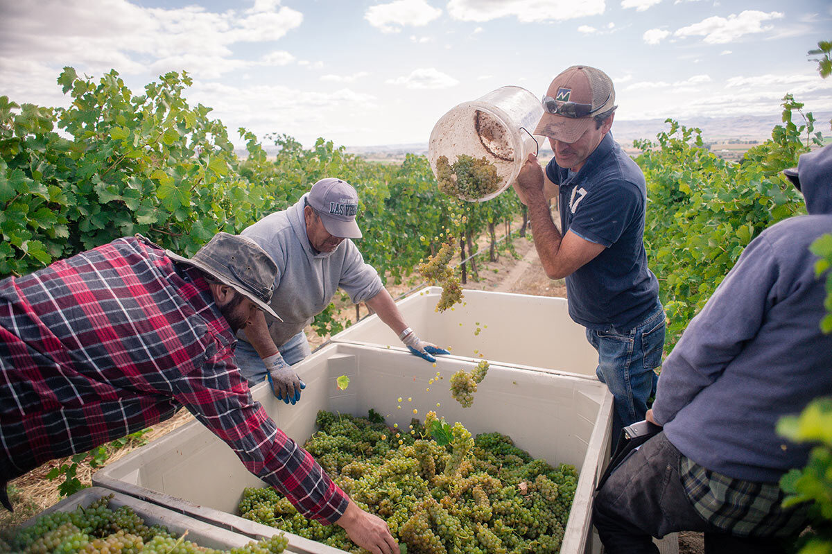 Idaho Grape Growers & Wine Producers Commission