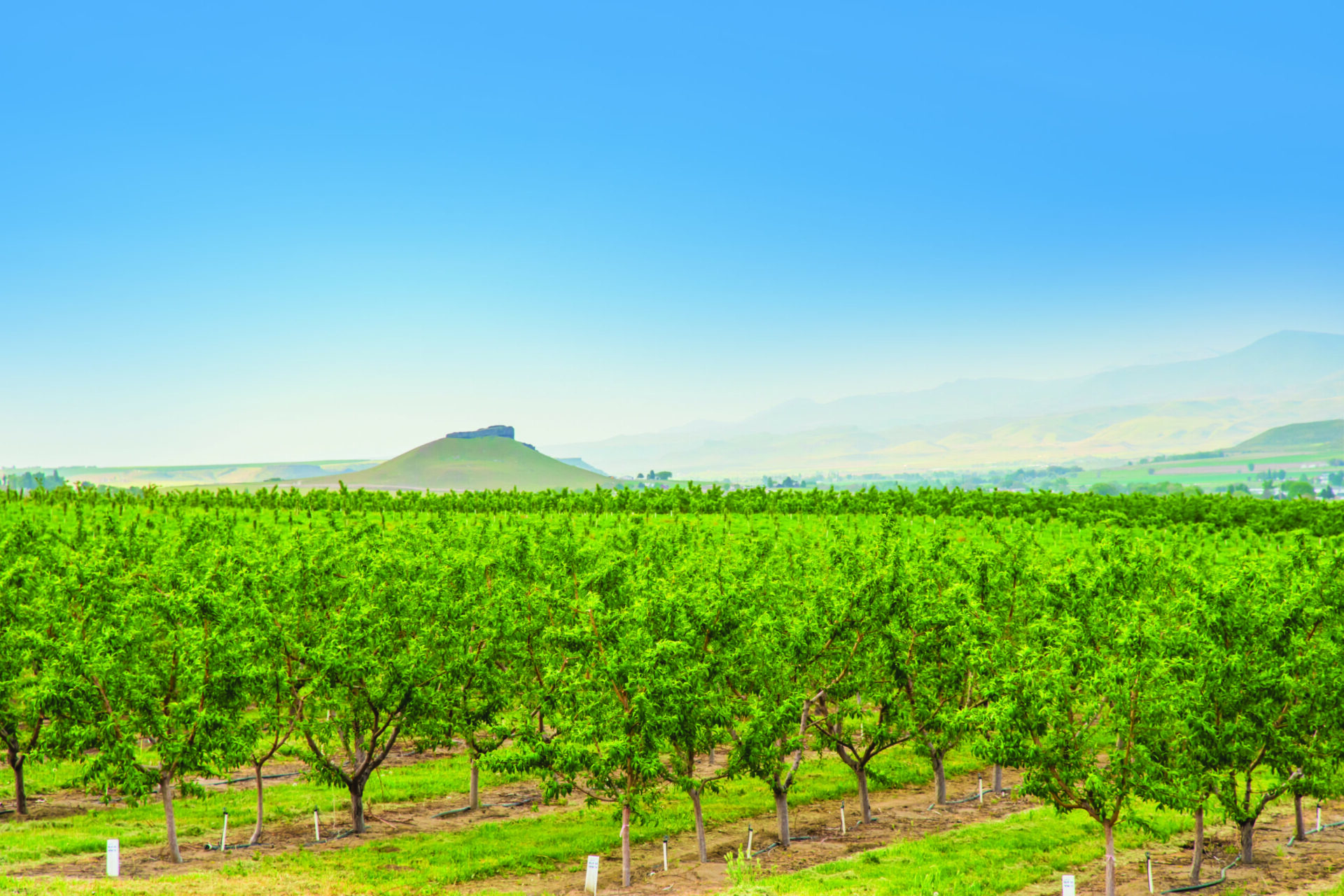 Sunnyslope Wine Country Itinerary